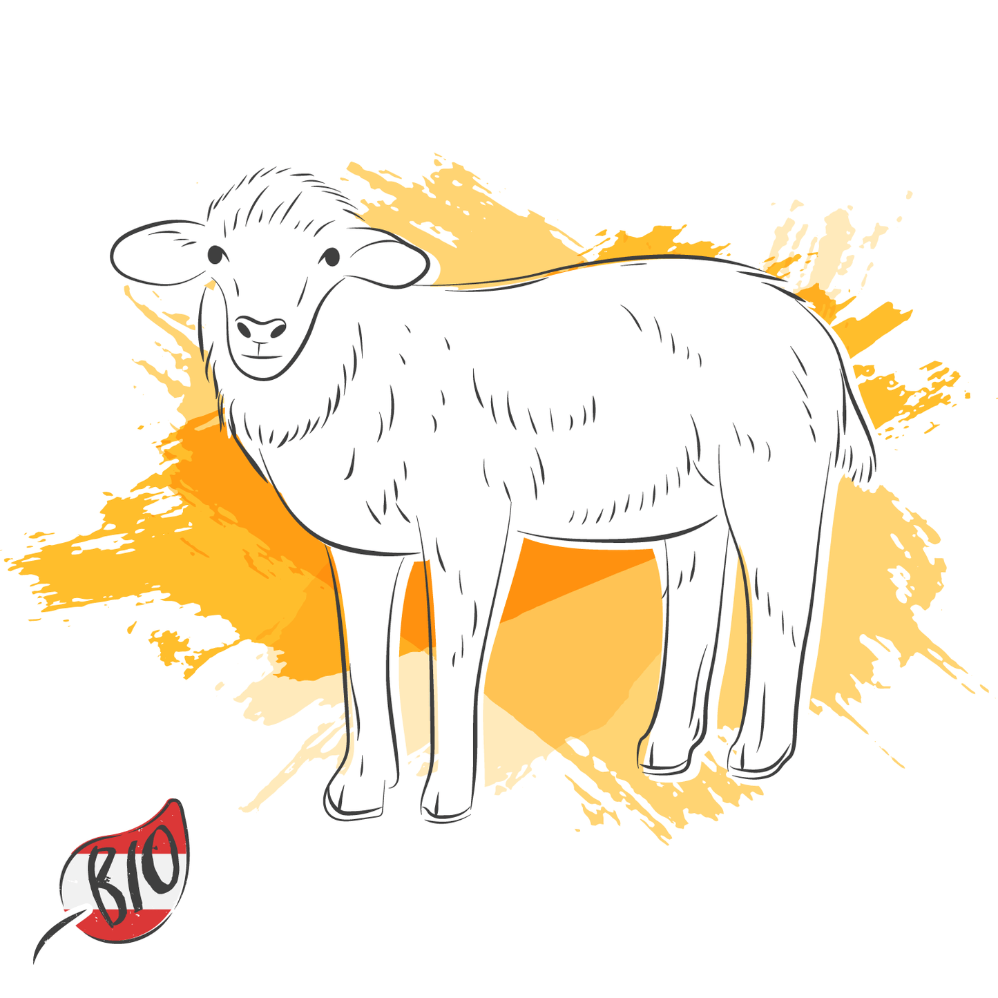 Lamm Chops
