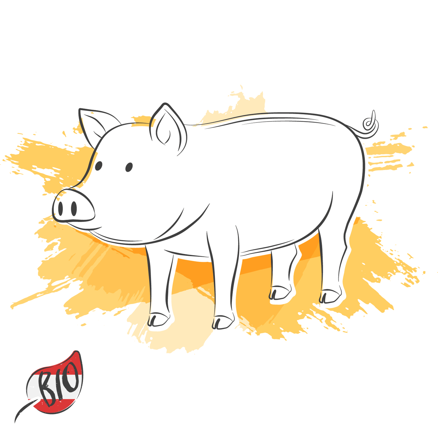 Leber vom Schwein