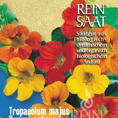 Kapuzinerkresse | Saatgut