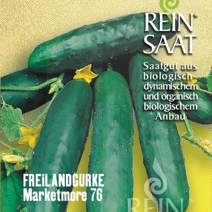 Feldgurke "Marketmore" | Saatgut
