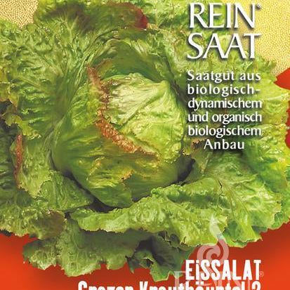 Eissalat "Grazer Krauthäuptel" | Saatgut