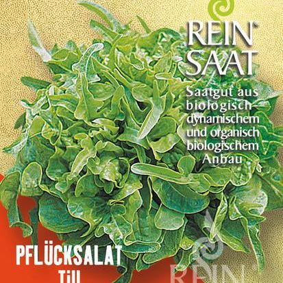 Pflücksalat "Till" | Saatgut