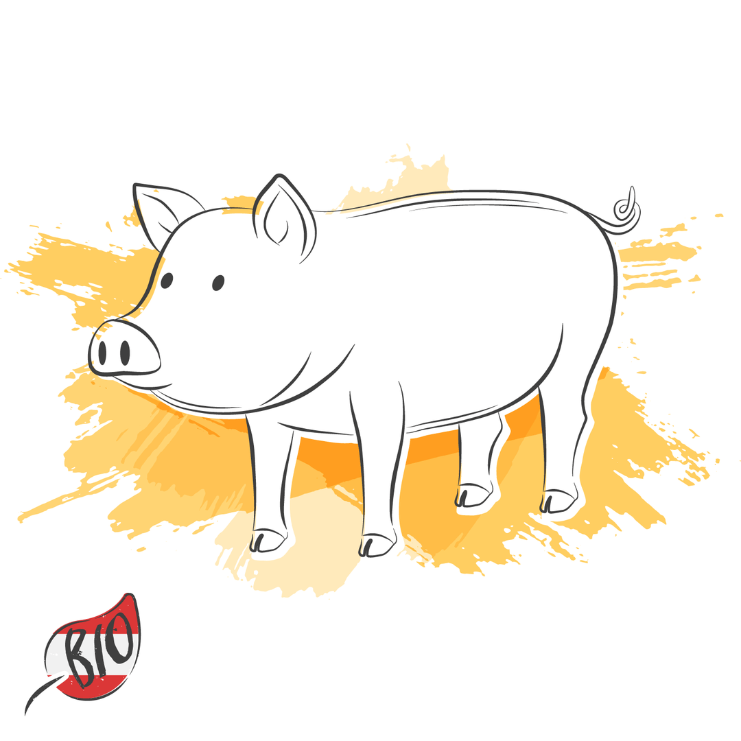 Bio-Schweinefleisch aus Österreich