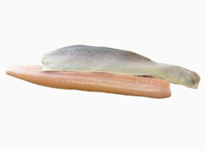 Bio-Saiblingfilet ca 200g