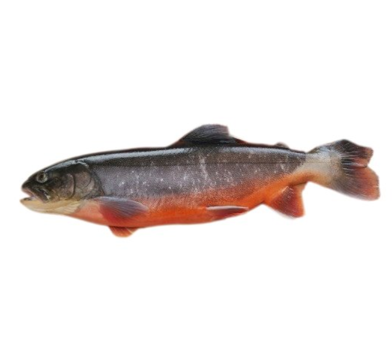 Bio-Saiblingfilet ca 200g
