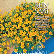 Zwerg-Studentenblume | Saatgut