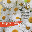 Margerite "Frühling" | Saatgut