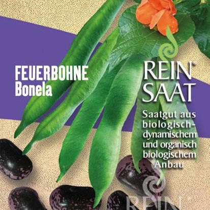 Käferbohne (Feuerbohne) "Bonela" | Saatgut